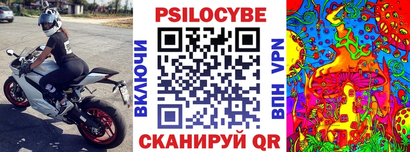 Псилоцибиновые грибы Cubensis  даркнет сайт  Байкальск 